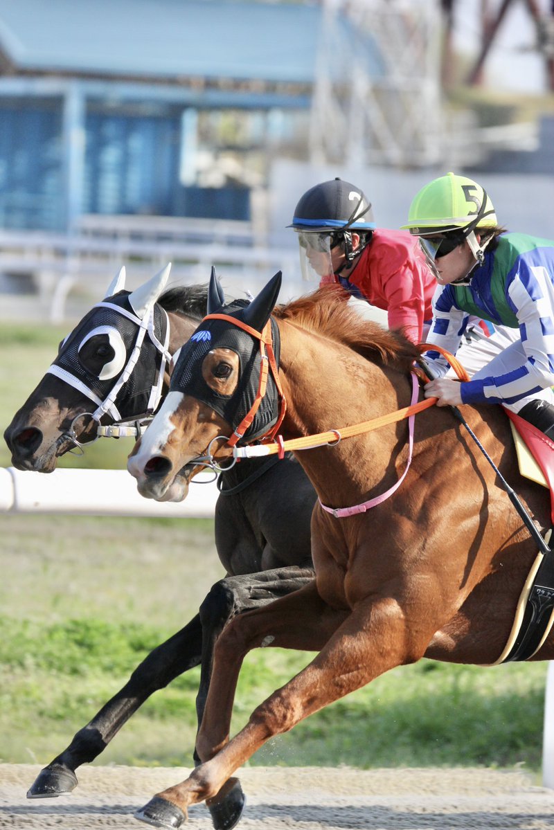 ぴっぴ　4月3日笠松📍 tweet media