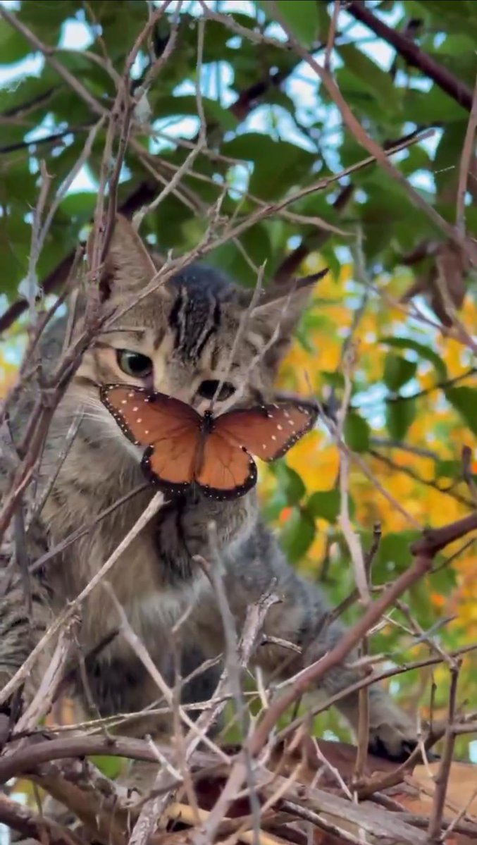 Inma G.Berdasco ❤️🇪🇸❤️ tweet media