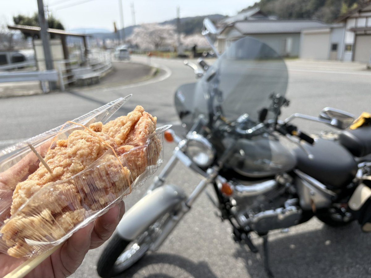 本名正憲 tweet media