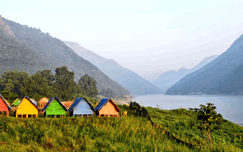 Andhra Nexus tweet media