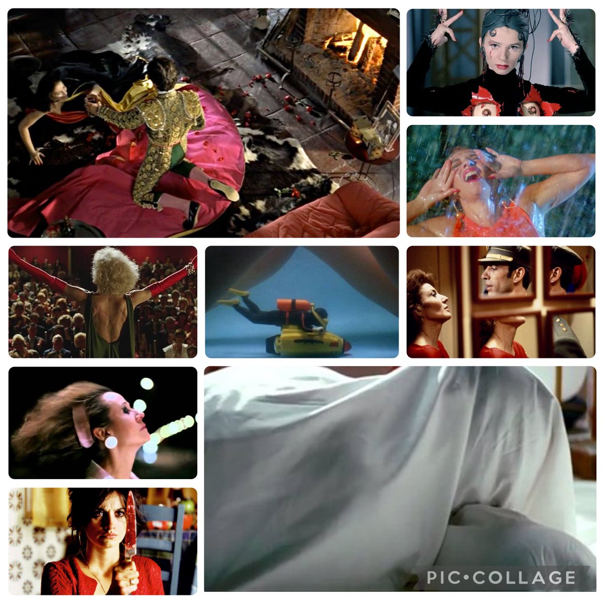 Ana Avellaneda tweet media