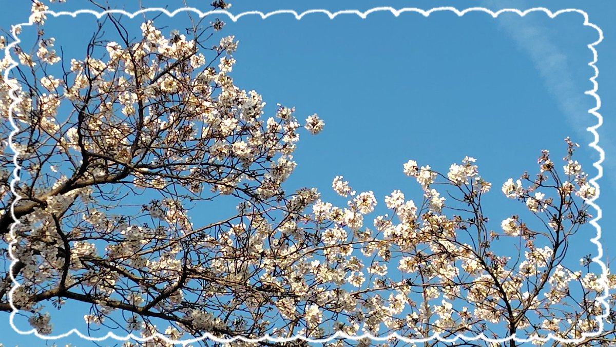 てんてんてん tweet media