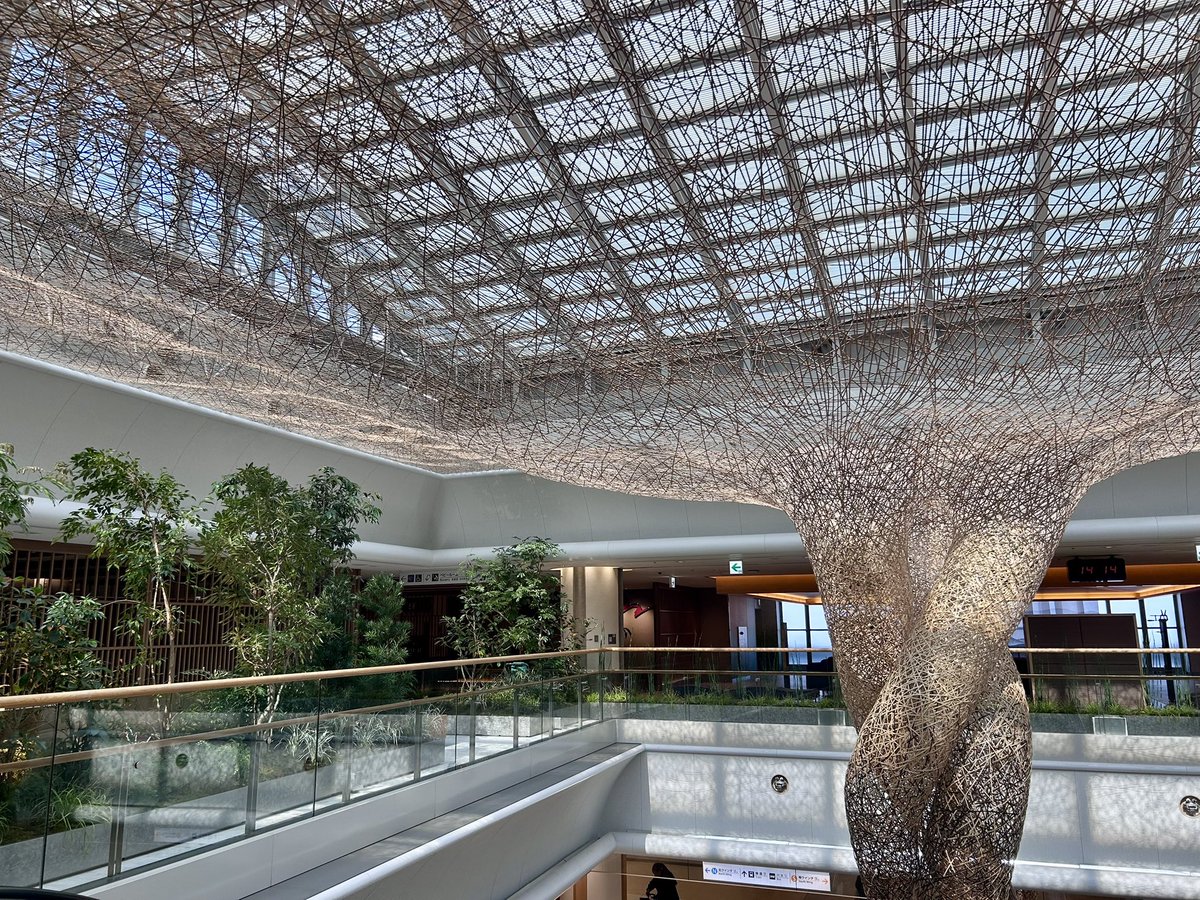 飛行機大好き❤︎CA tweet media