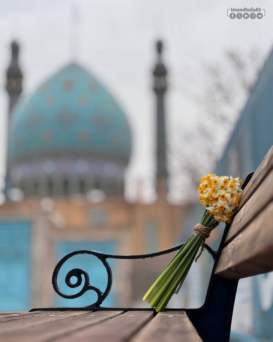 العتبة الرضوية المقدسة tweet media