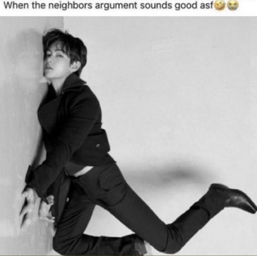 ice 🪭 tweet media