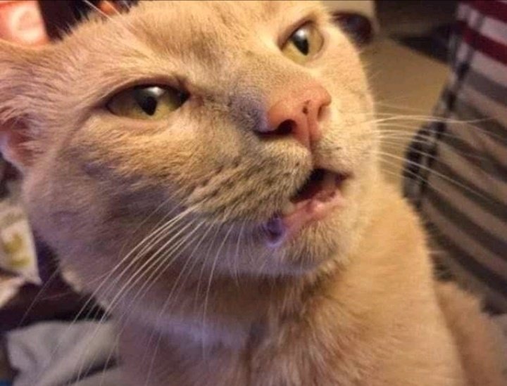 Adebukola Ajetunmobi tweet media