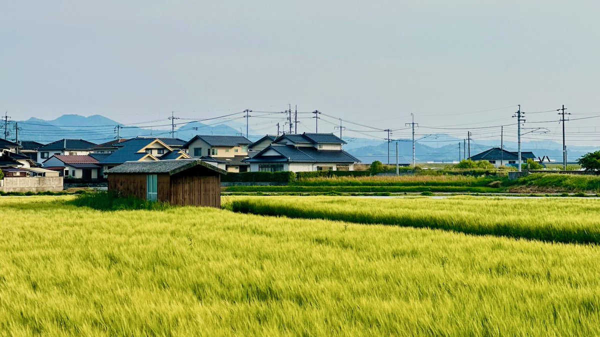 thefarmingiq's tweet photo. Japan's farmers average 67 years old — and nearly 1 in 3 farmland acres could go idle by 2035. An aging crisis is quietly hollowing out the country's food security.

Read more 👇

https://t.co/7Udeh125Mo

#Japan #Agriculture #FoodSecurity #farmingIQ #AgriNews https://t.co/ECq77r3tgf