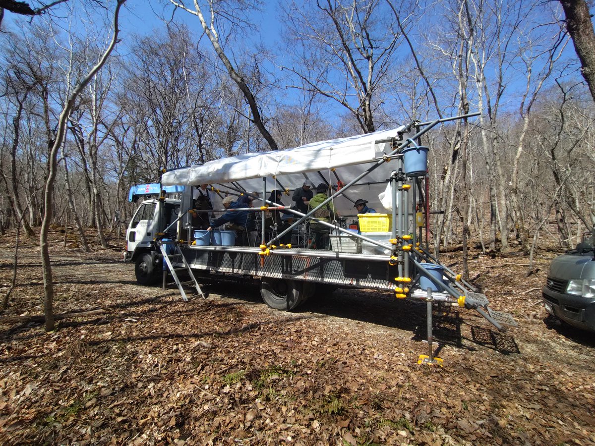 北海道大学苫小牧研究林 tweet media