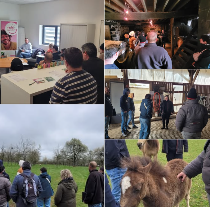 AnefaMayenne's tweet photo. Hier information collective à France Travail Mayenne ; suivi l'après-midi de 2 visites à Lassay les Châteaux secteur ovin et production de pommes à cidre et, visite à St George Buttavent secteur équin merci à Mr Poirrier, Mme Liger, Mr LeRoyer et Mme Dufond pour leur témoignage👍 https://t.co/4Dpw4GG9Rv
