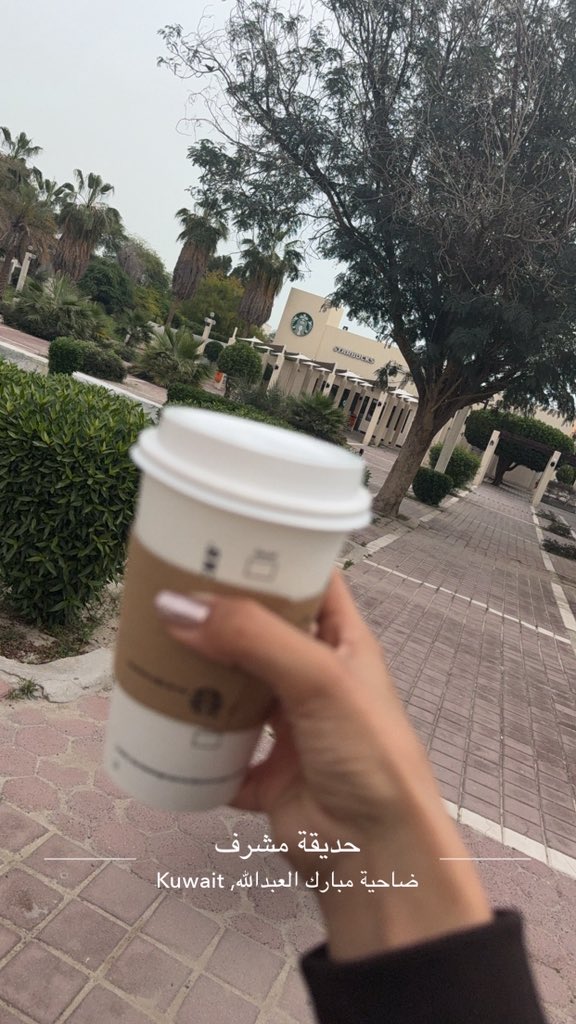 Alhanouf tweet media