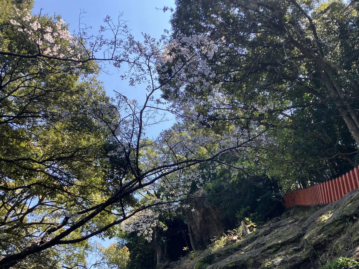 前田兄弟 tweet media