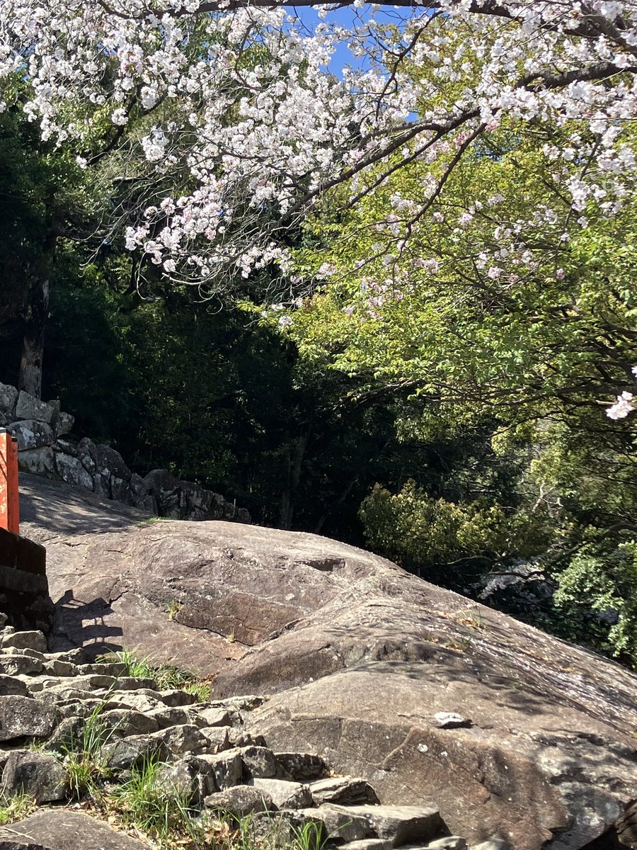 前田兄弟 tweet media