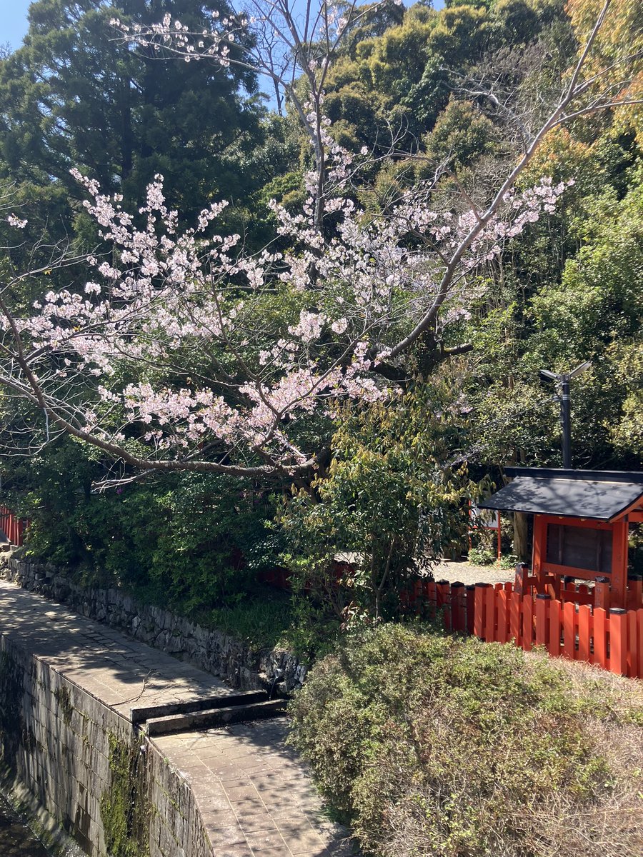 前田兄弟 tweet media