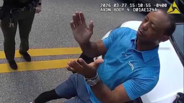 boob dylan tweet media