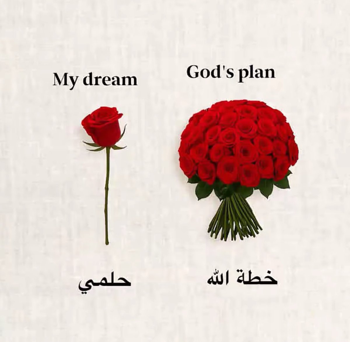 كابتن ناصر tweet media