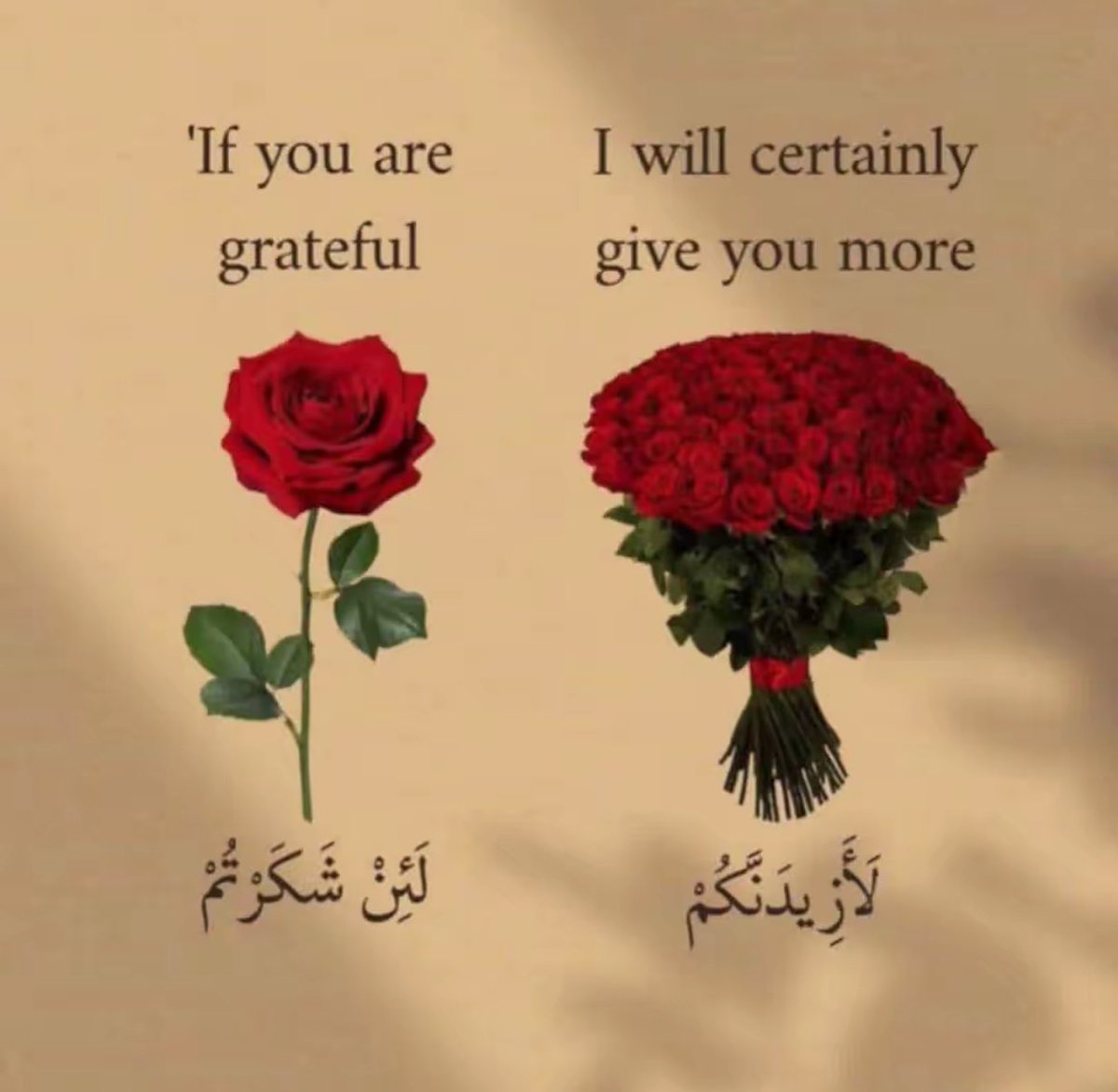 كابتن ناصر tweet media