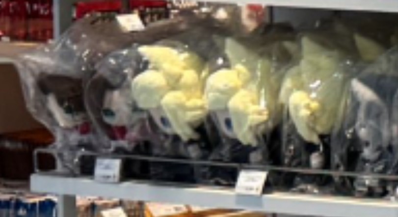 やほきっち tweet media