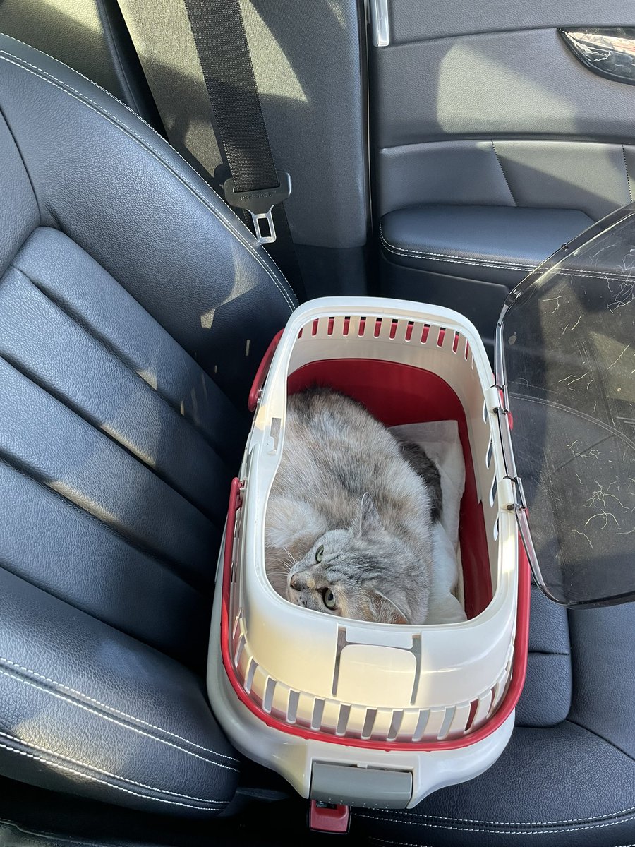 れい♂ tweet media