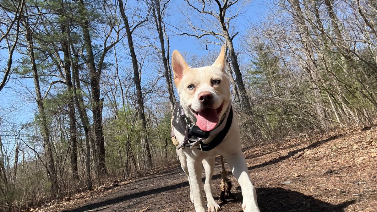 Paigeeeeee👅 tweet media