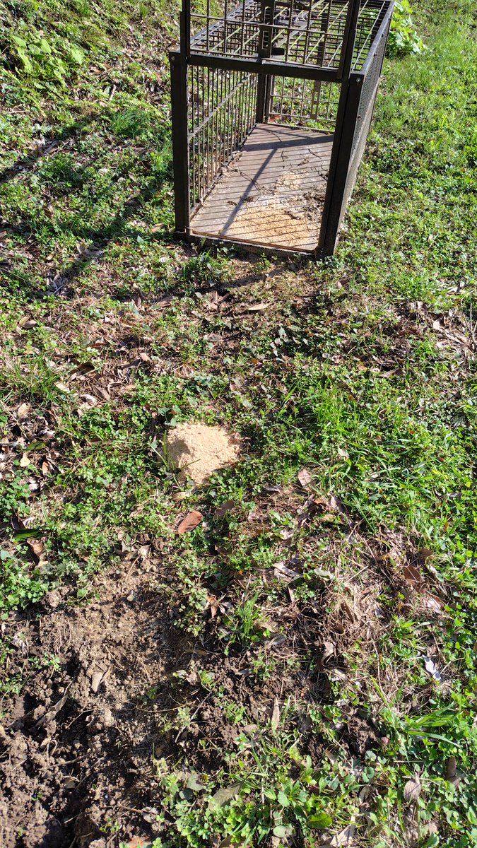 ミスト tweet media