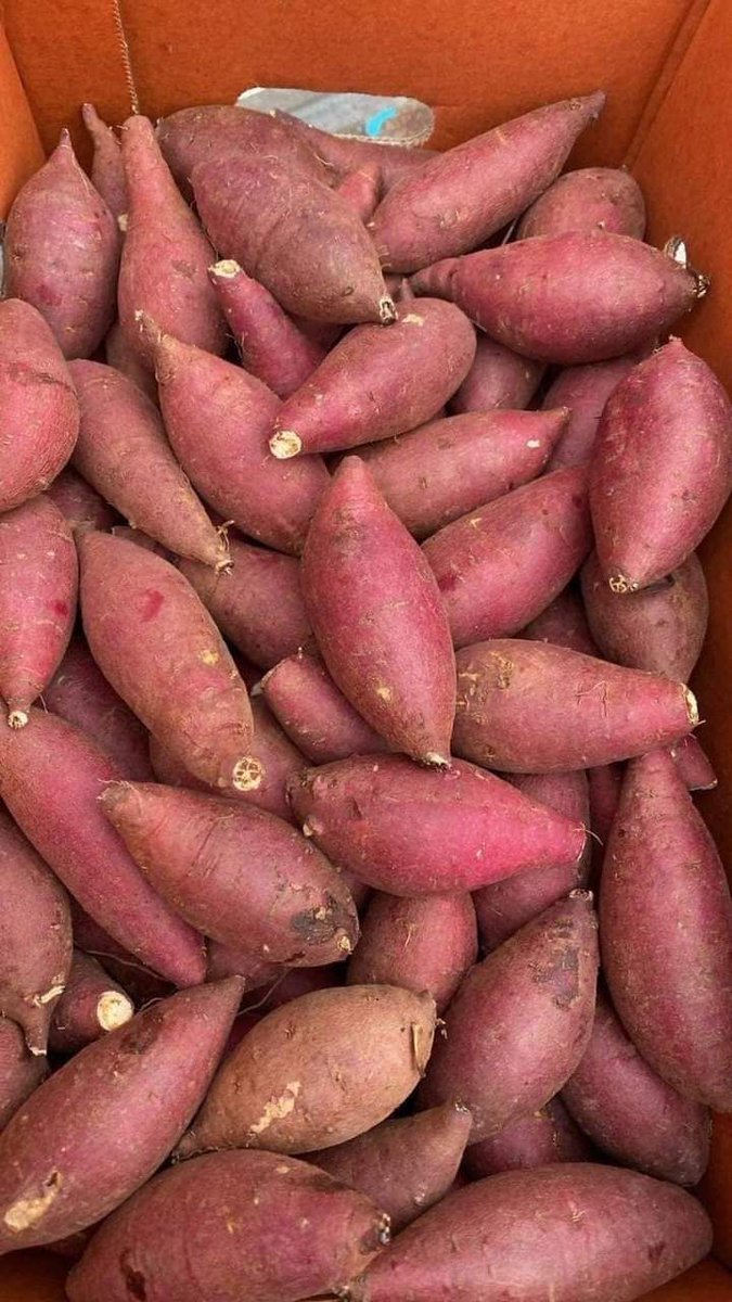 big_tiphe✨ tweet media