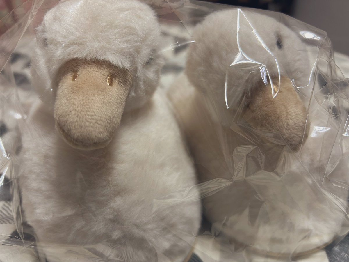 さらのさヴ tweet media