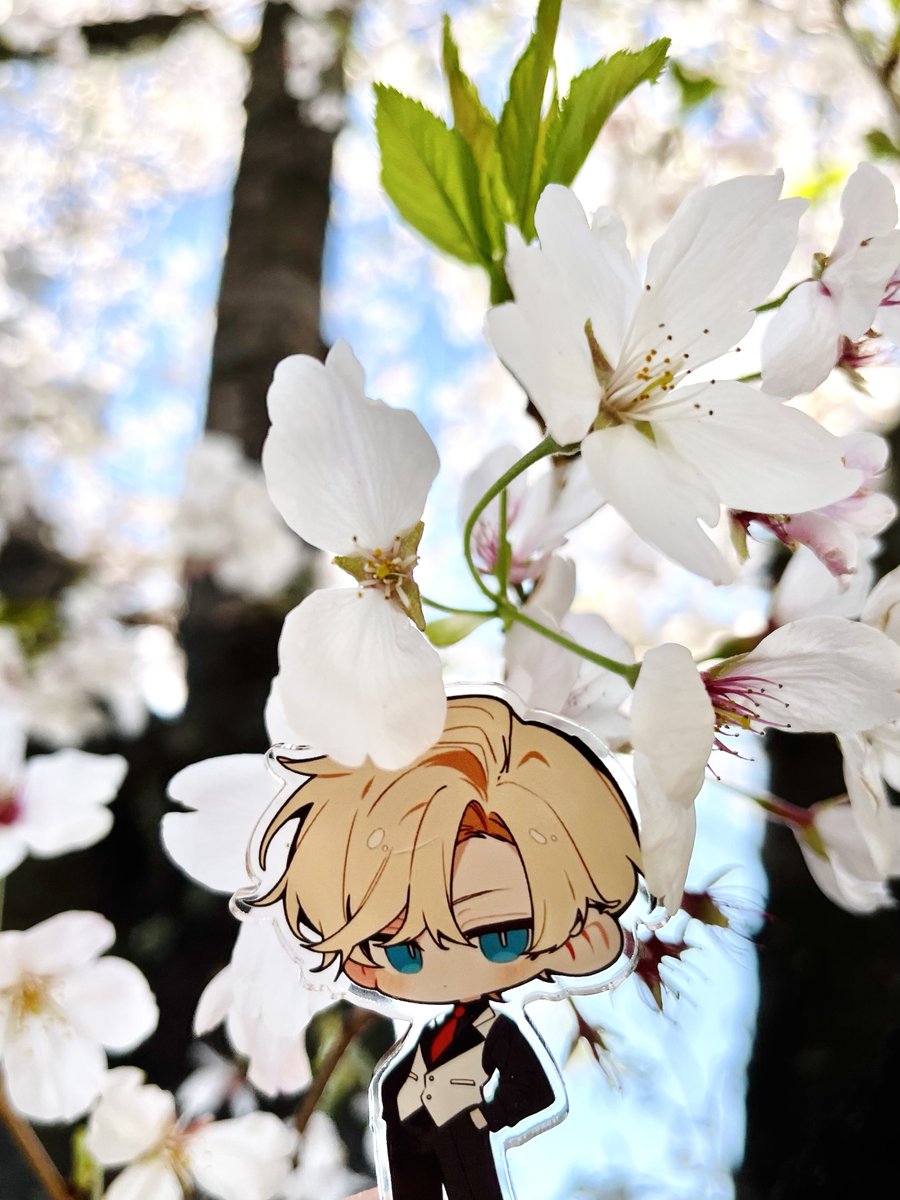 リルコ / Room509 tweet media