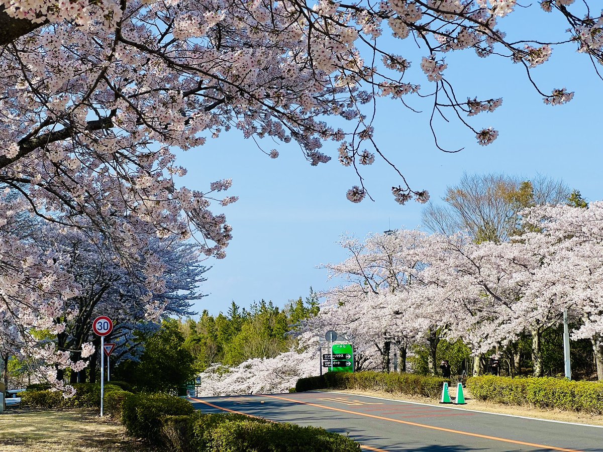 モビリティリゾートもてぎ公式 tweet media