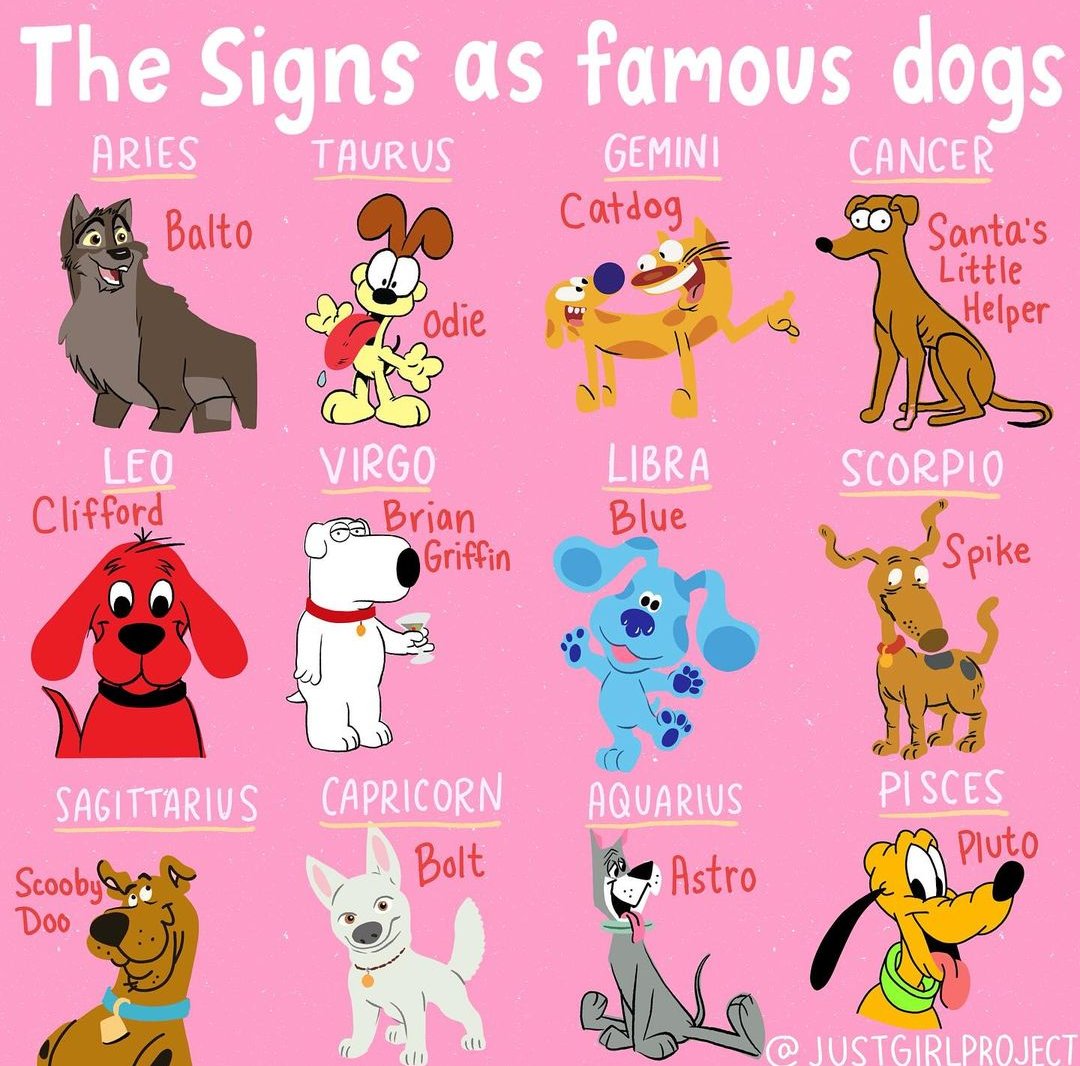 CONQUERtheNO.org 🫶🏽 tweet media