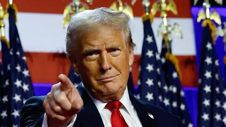 Bull Theory tweet media