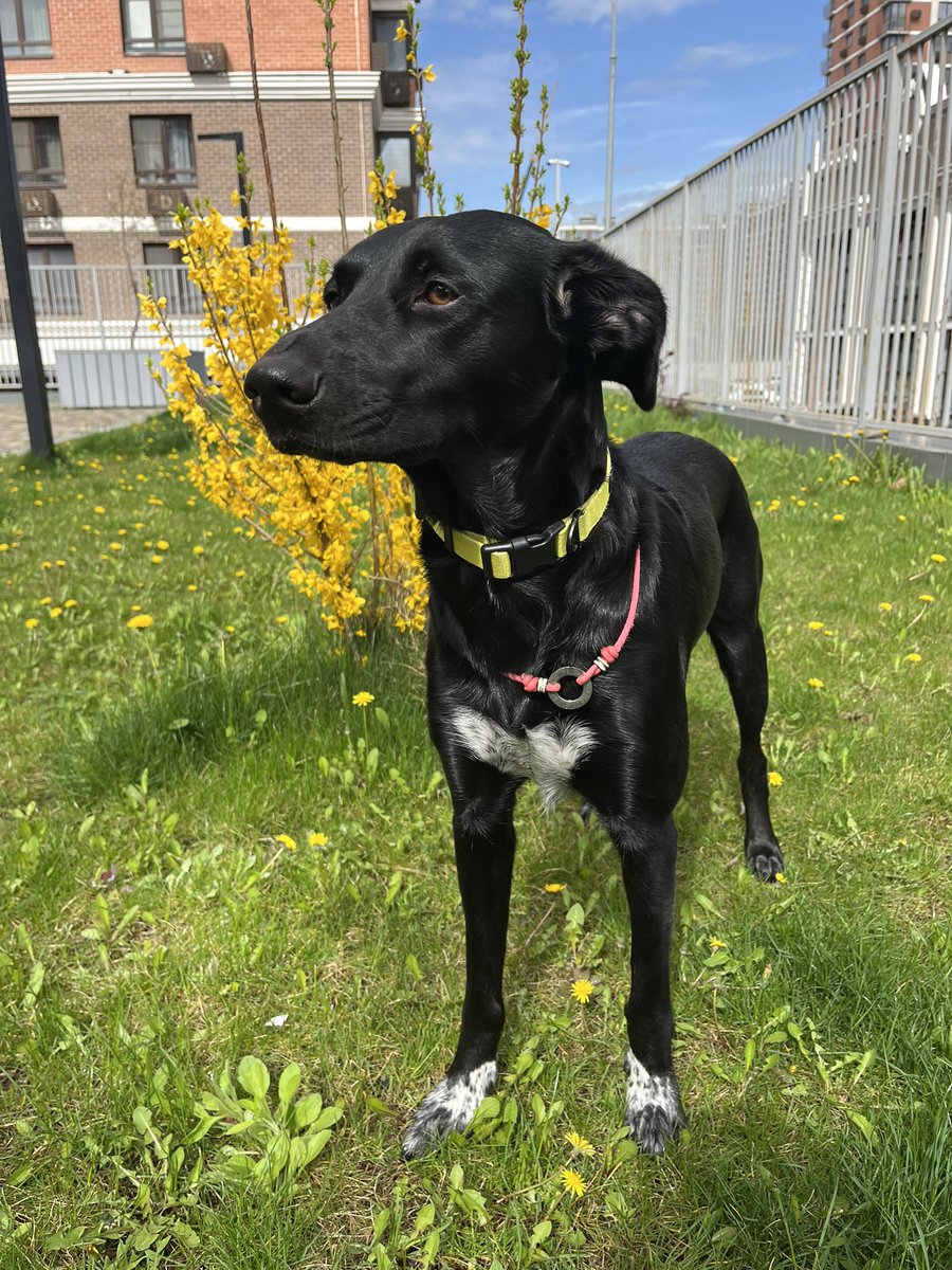 её звали Никита tweet media