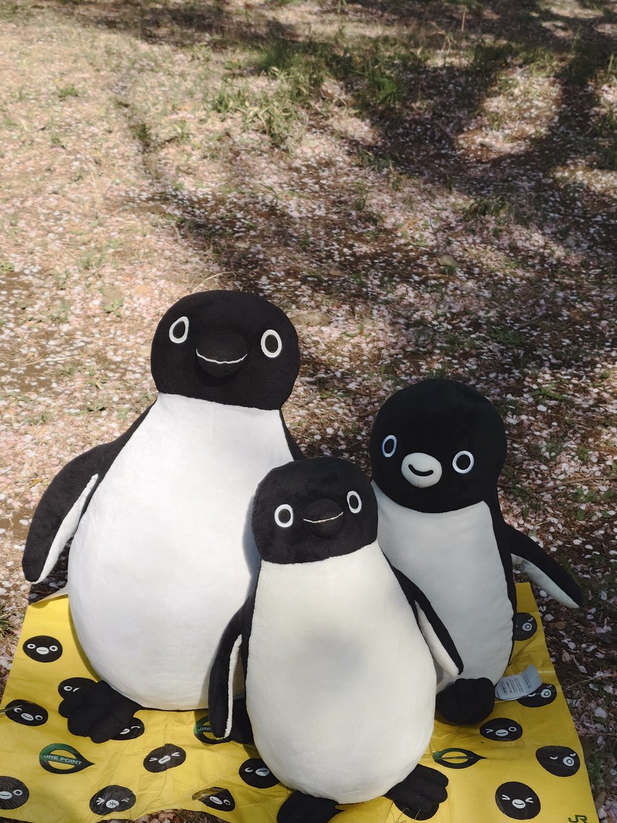 みみずく tweet media