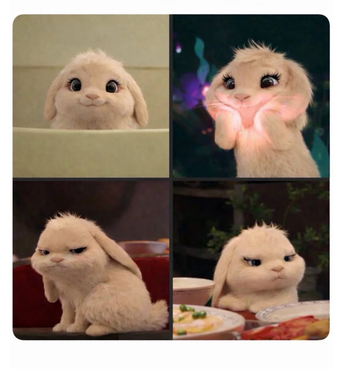 ช่างแม่ง🐰🏳️🌈 tweet media