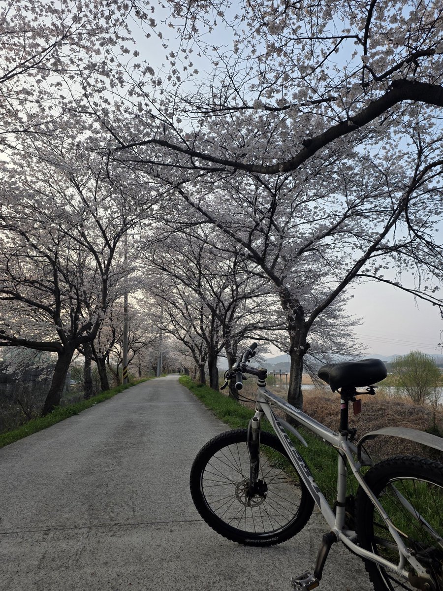 국민의힘 전남도당 위원장 tweet media