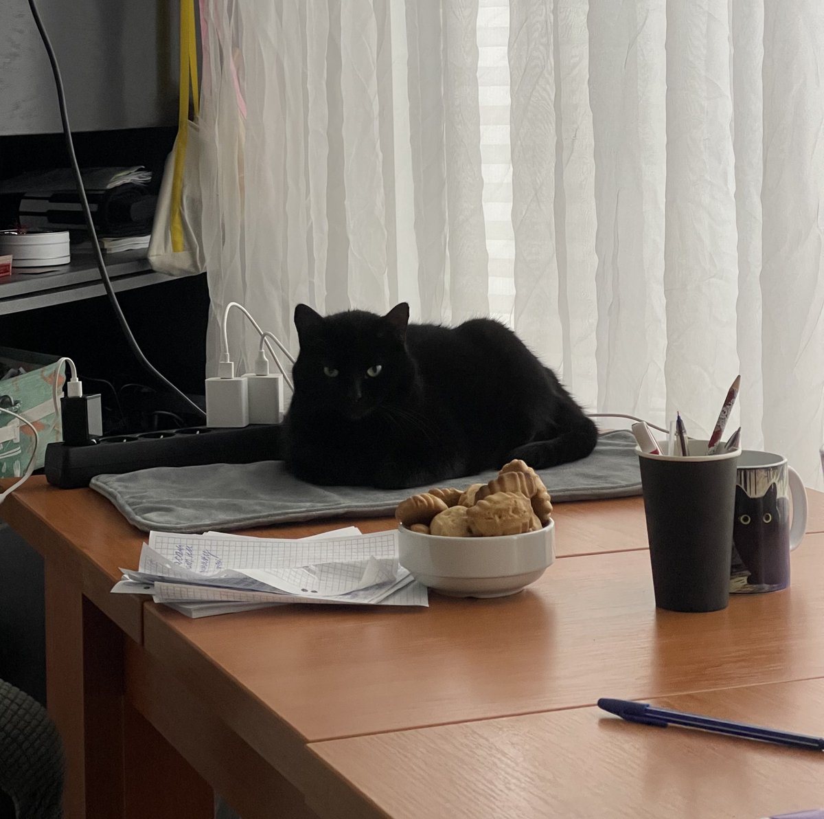 GavleGoatFire tweet media