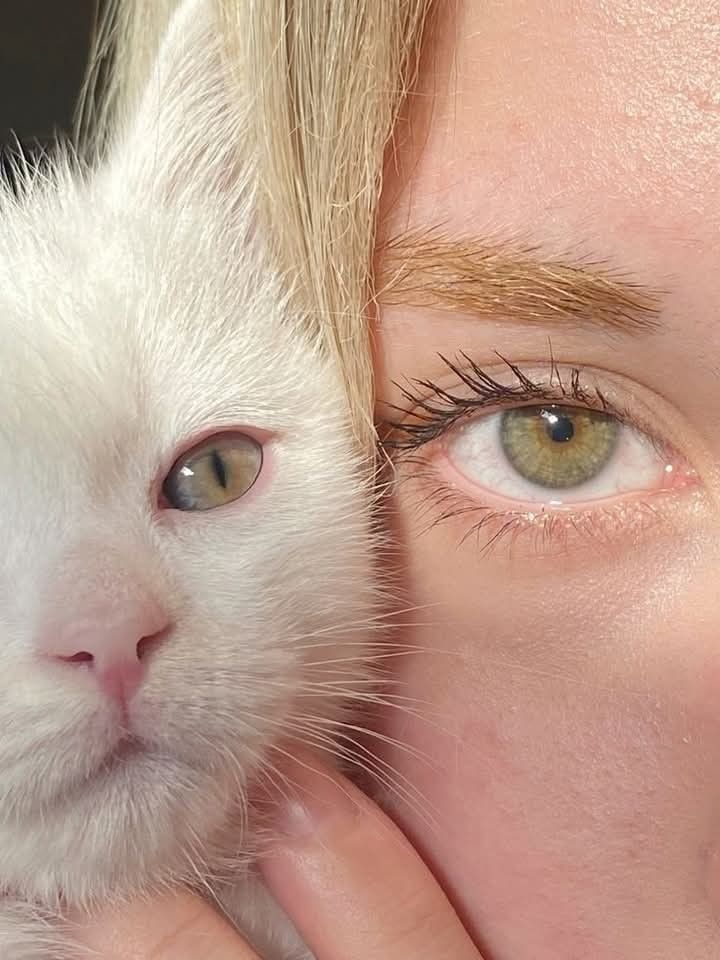 Mélanie🌋 tweet media