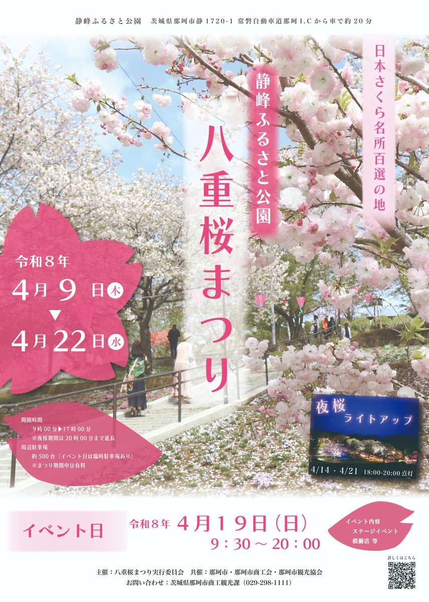 kanko_ibaraki's tweet image. 「日本さくら名所100選」に選ばれた #静峰ふるさと公園 で #八重桜まつり が開催されます💁‍♀️

約2,000本の八重桜が植えられており、満開を迎えた花の景色は壮観です👀🩷

夜桜のライトアップ（4月14日～4月21日・18時～20時）では幻想的な雰囲気を味わうことができます🌙

🔗ibarakiguide.jp/event.php?mode…