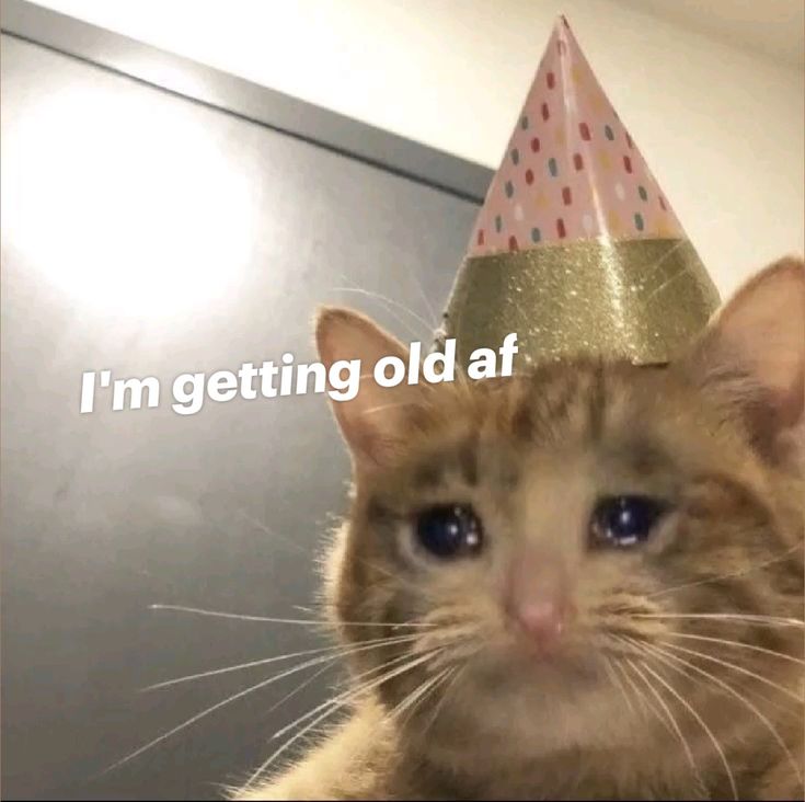 Jedidah Temitope tweet media