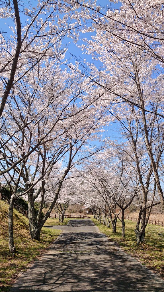 まりろー＠万博民 tweet media