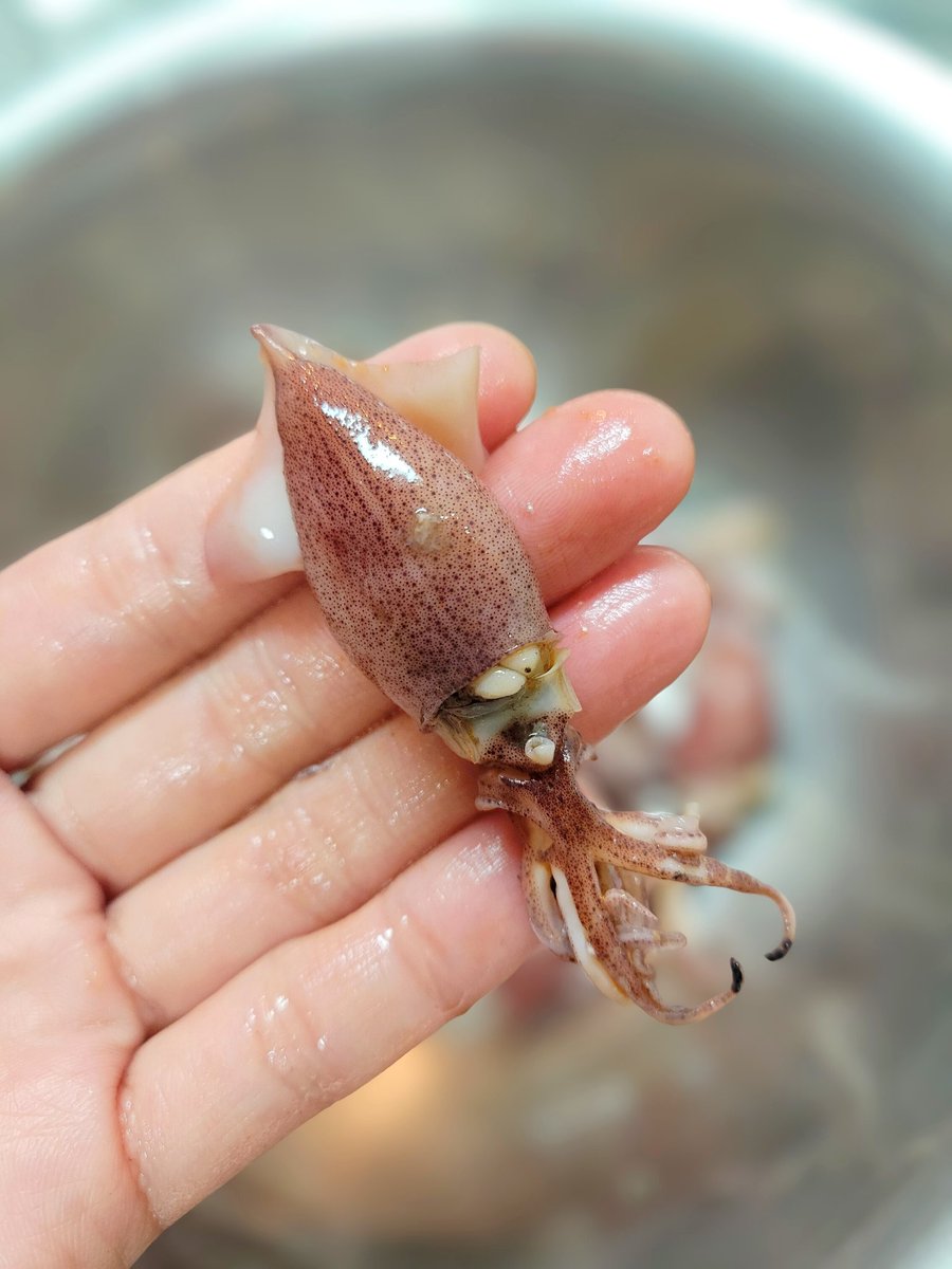 創作居酒屋まとし屋 tweet media