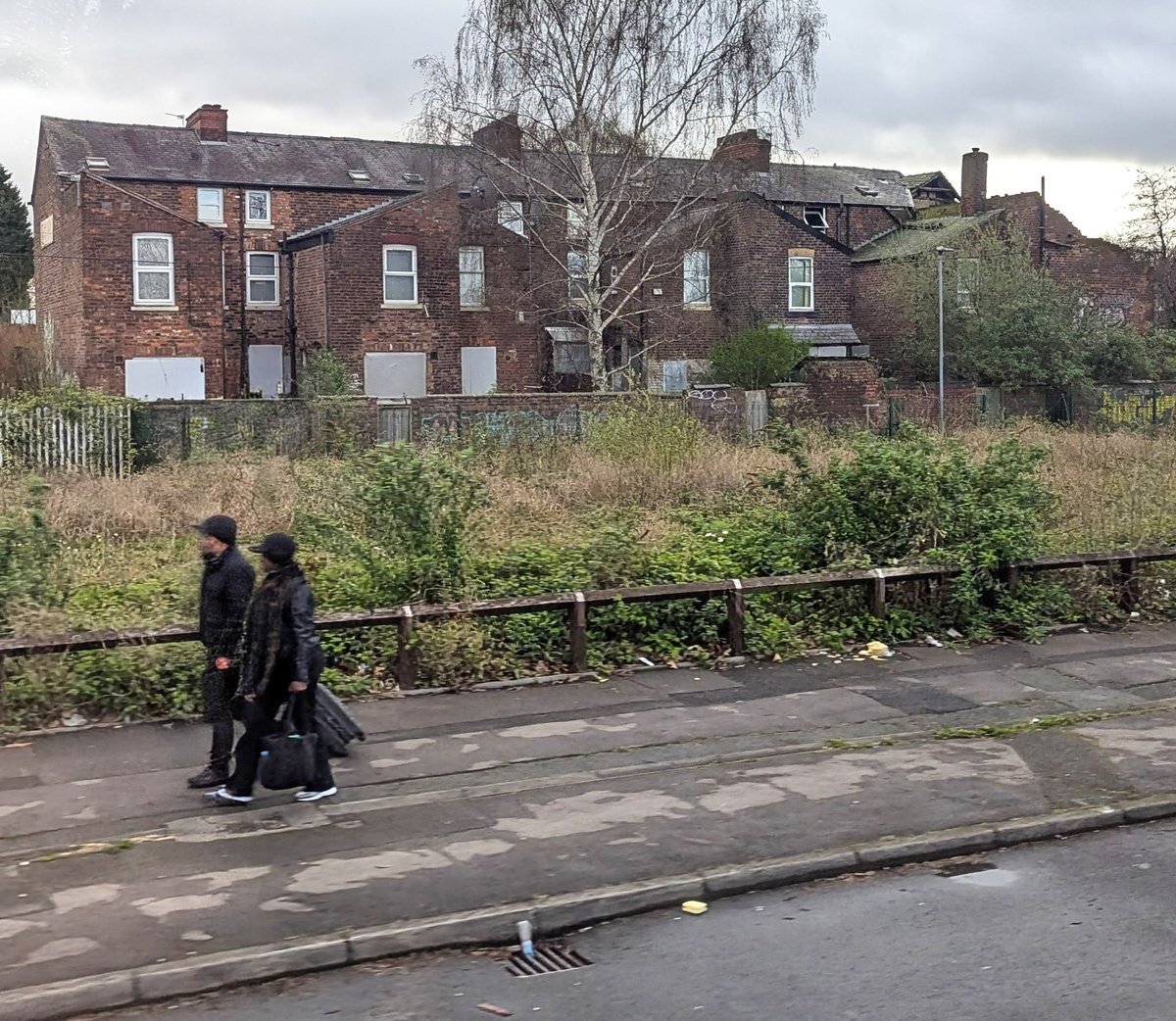 Carl 📷 tweet media