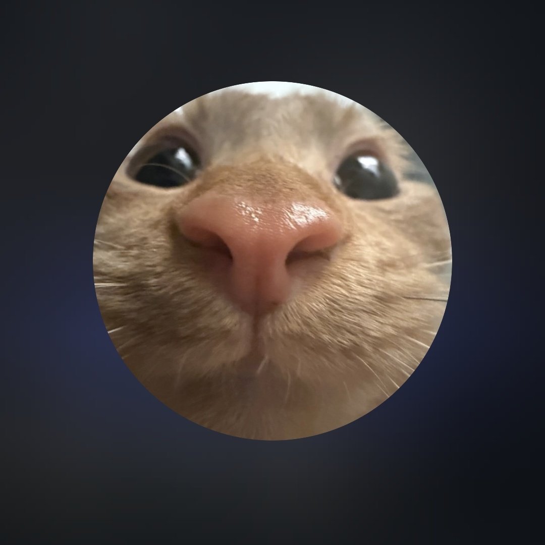 ксец  tweet media