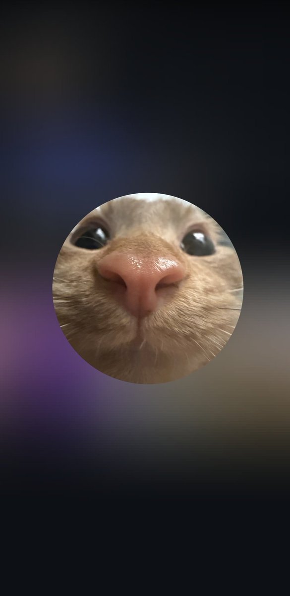 ксец  tweet media