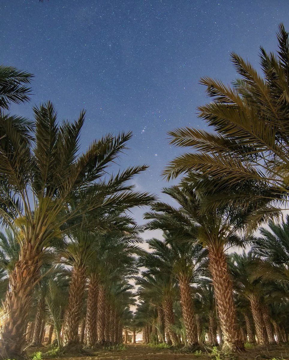 Coachella Valley tweet media