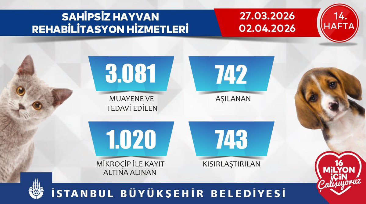 İBB Veteriner tweet media