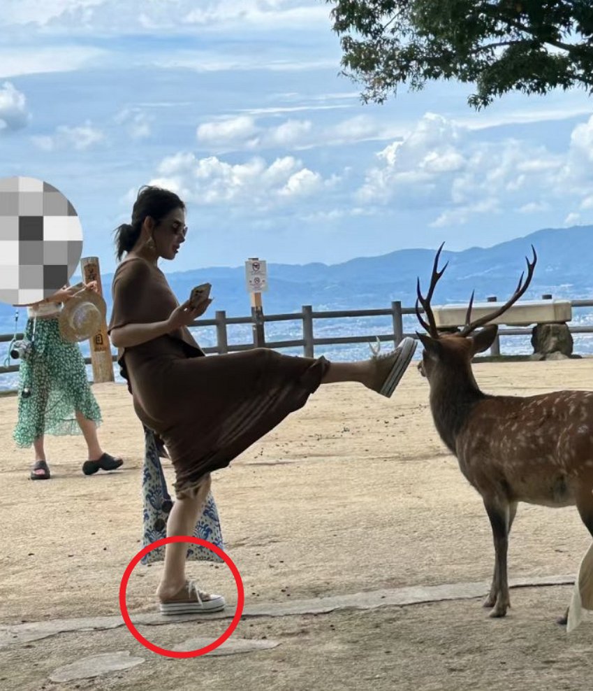 守火者 Fire Keeper tweet media