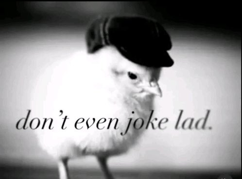 eggbertx tweet media