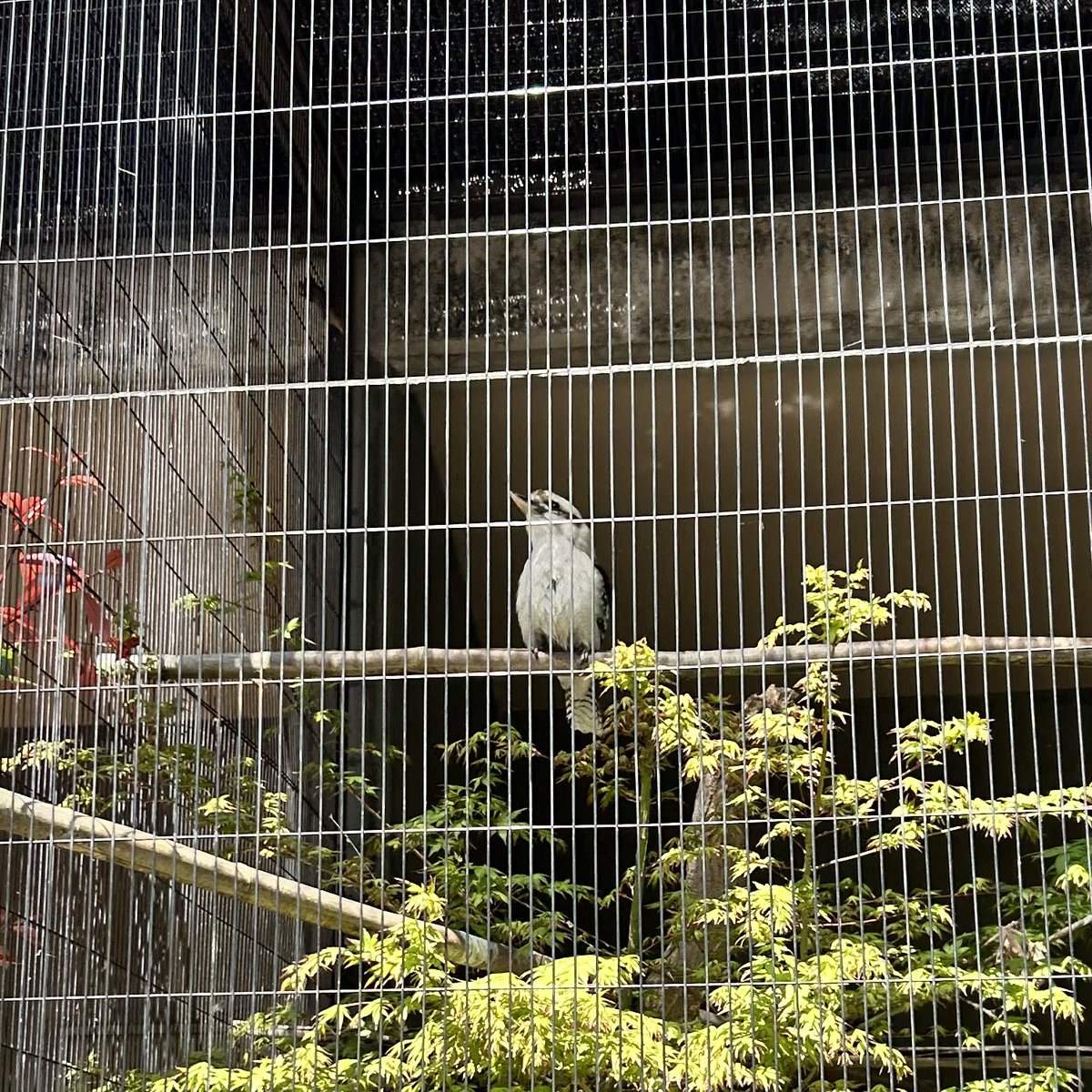 ゆっくんの嫁さ tweet media