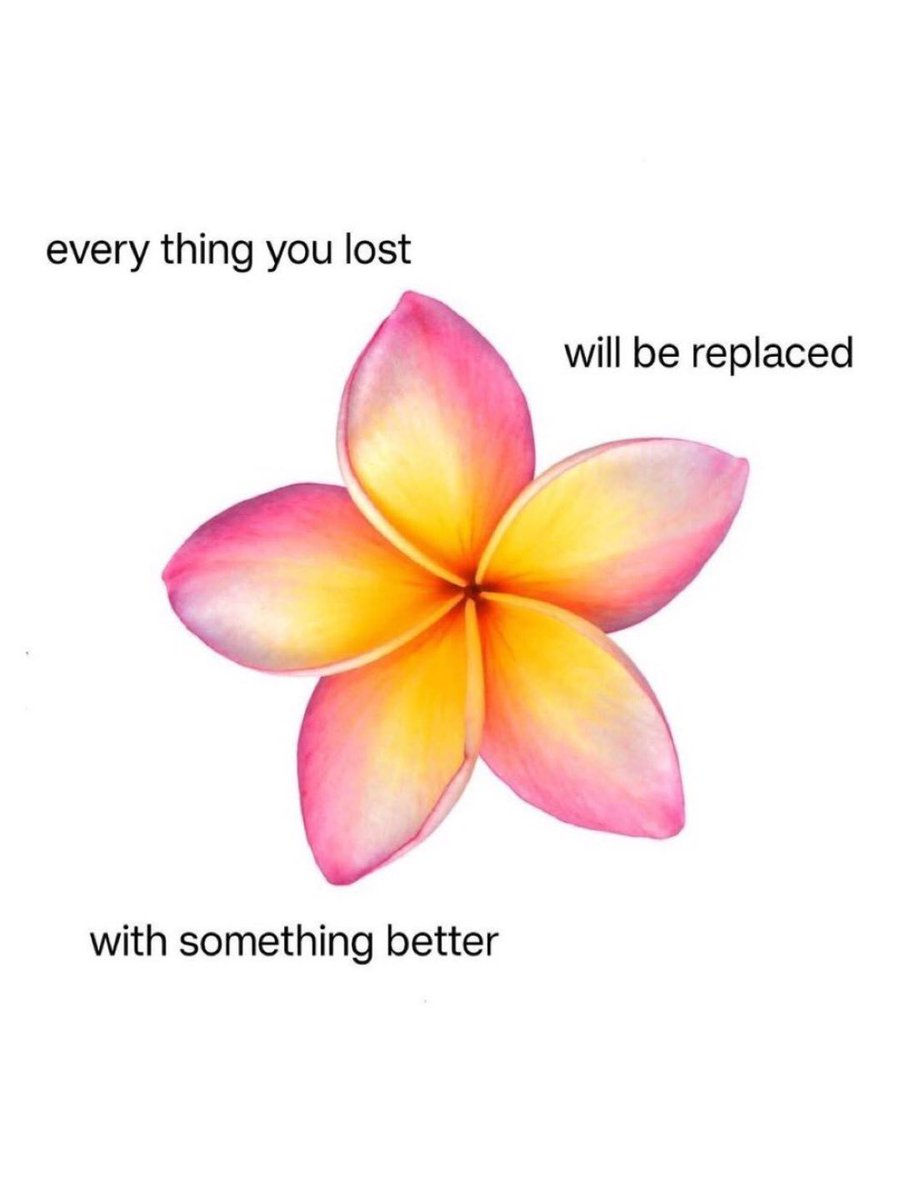 Success Minded tweet media