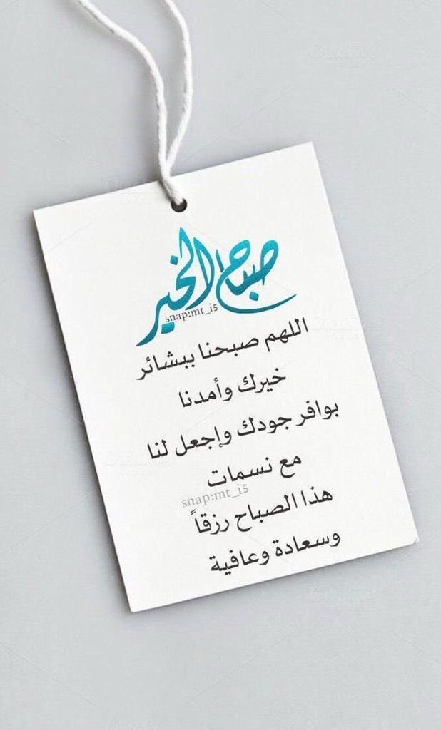 سعيد بن حنبص tweet media